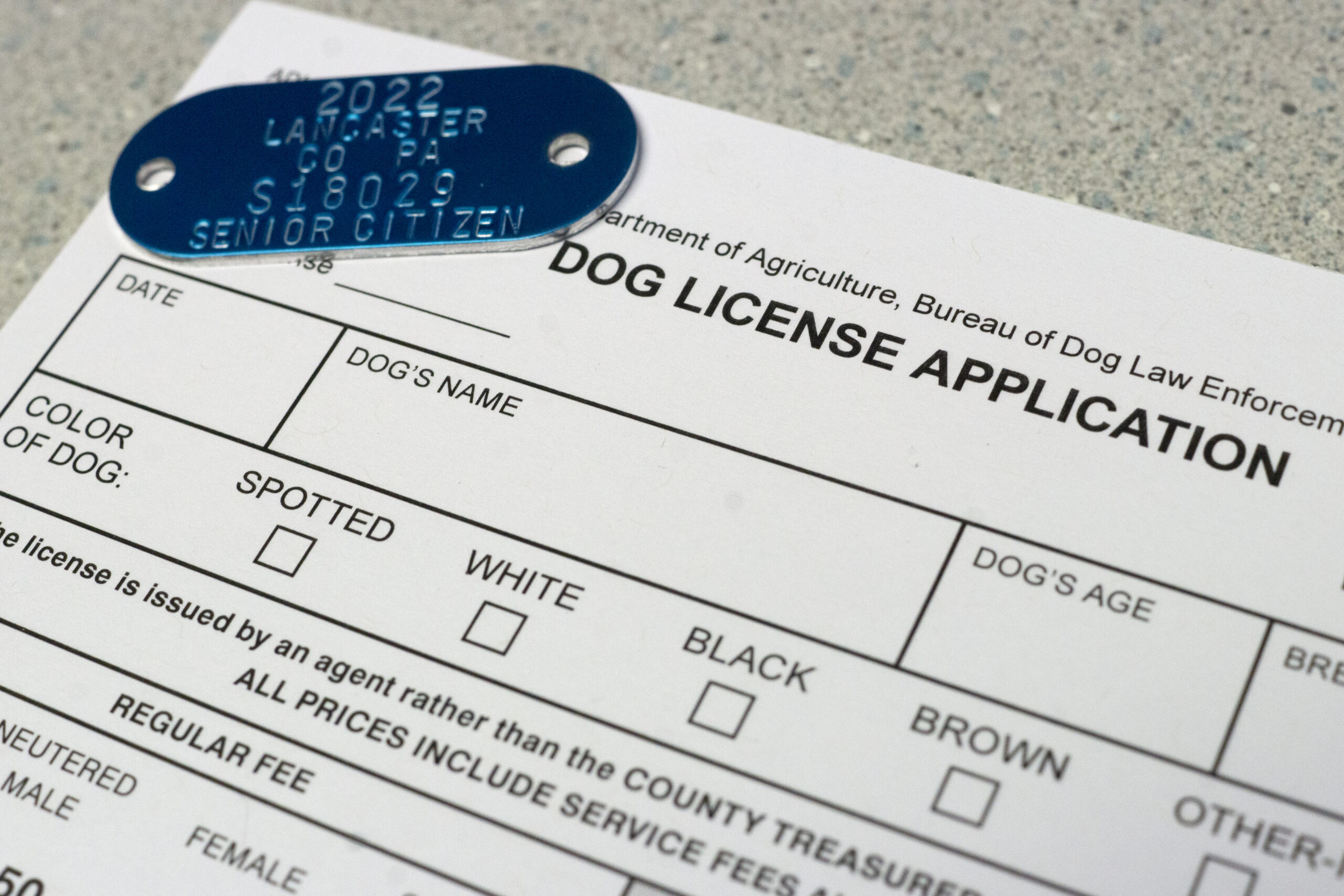 Dog Licenses Pet Pantry Lancaster