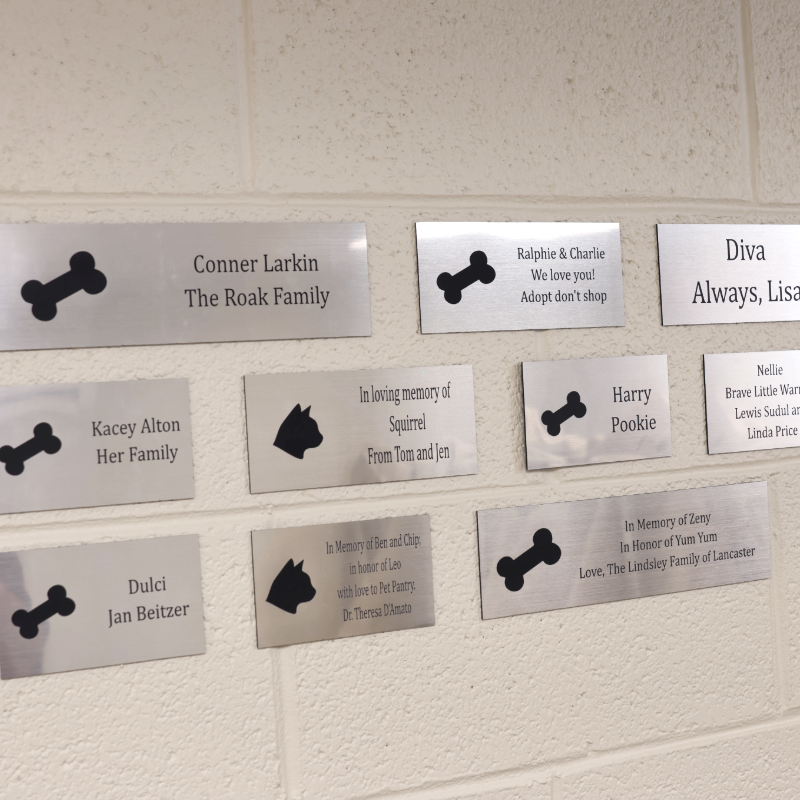 Plaque Wall