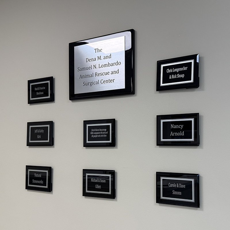 Plaque Wall